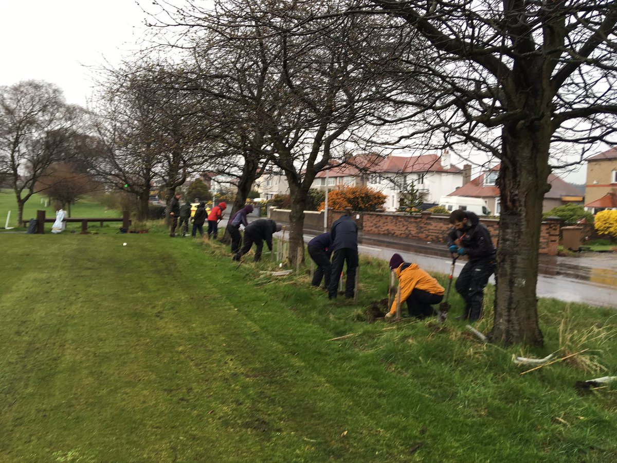 FifeBats's tweet photo. Excellent days work hedge planting today- thanks to all those who turned out despite the awful weather! @FifeLBAP @TCVtweets @FCCTrust https://t.co/LNP9ZSSJRy