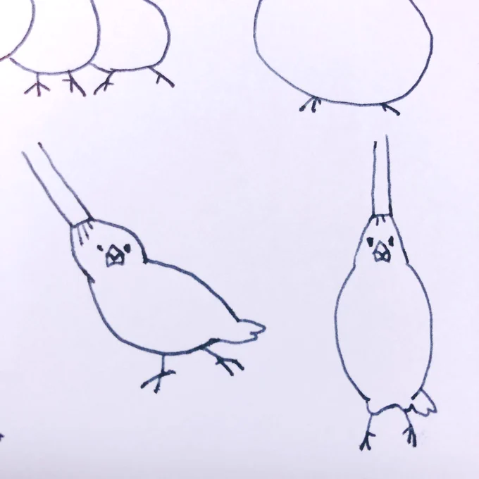 ストローで吸われる文鳥はシリーズ化したいんです。 