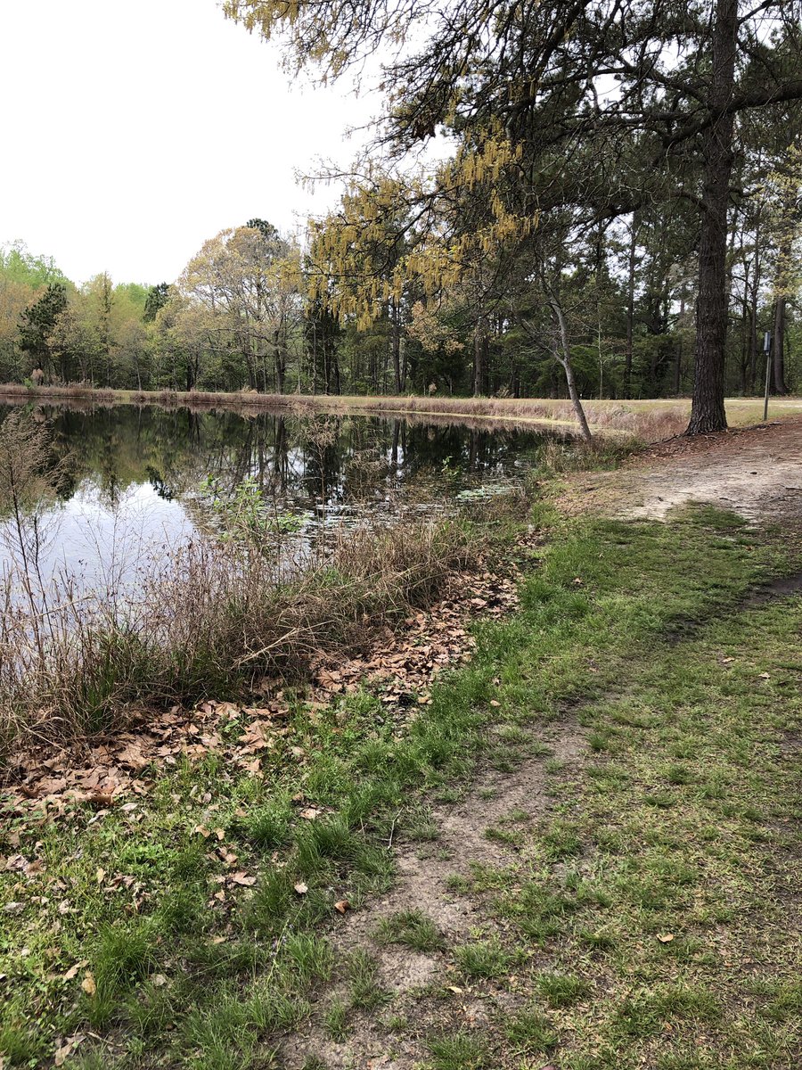 Dr_KJ08's tweet photo. My favorite site to run to! #RunForClarity 💚 https://t.co/8p2uHXhskp