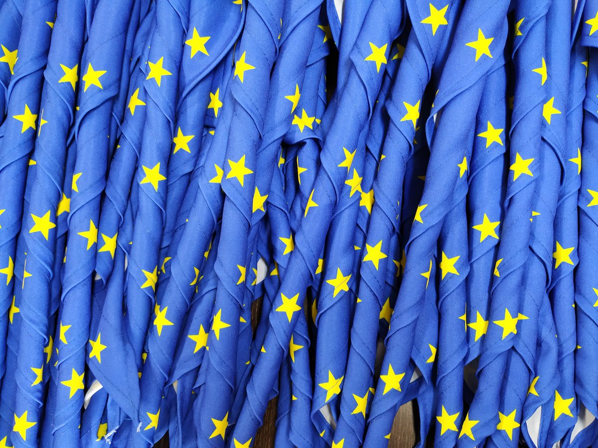Rovers y Rutas de <a href="/scout_es/">Scouts de España (ASDE)</a> y <a href="/scoutsmsc/">Scouts MSC</a> recibiendo pañoletas europeas como detalle y recuerdo por su participación en este Action Day del #MyEuropeMySay #estavezvoto #ThisTimeIVote <a href="/Europarl_ES/">Parlamento Europeo en España</a> <a href="/ScoutingEurope/">Scouting In Europe</a>