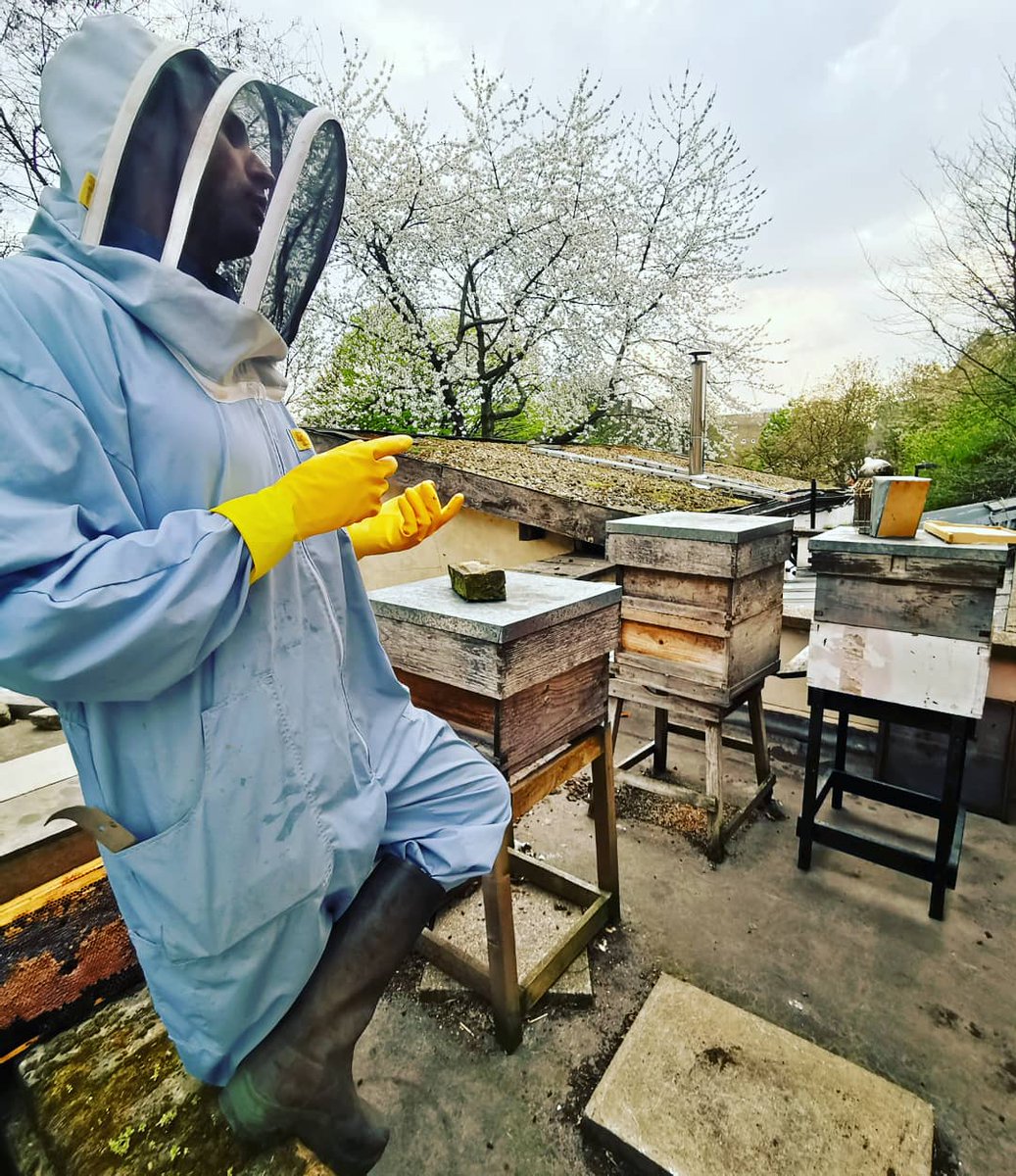 SaviourBees's tweet photo. Soon we'll be a co-op of Bee Saviour Citizens... we love that new #coops go to 'The Hive' at @CooperativesUK for support in getting set up!
#saviourbees #cooperative #bees #savethebees https://t.co/4H3kTVMX3n