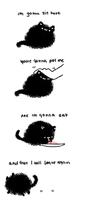 just cat things 