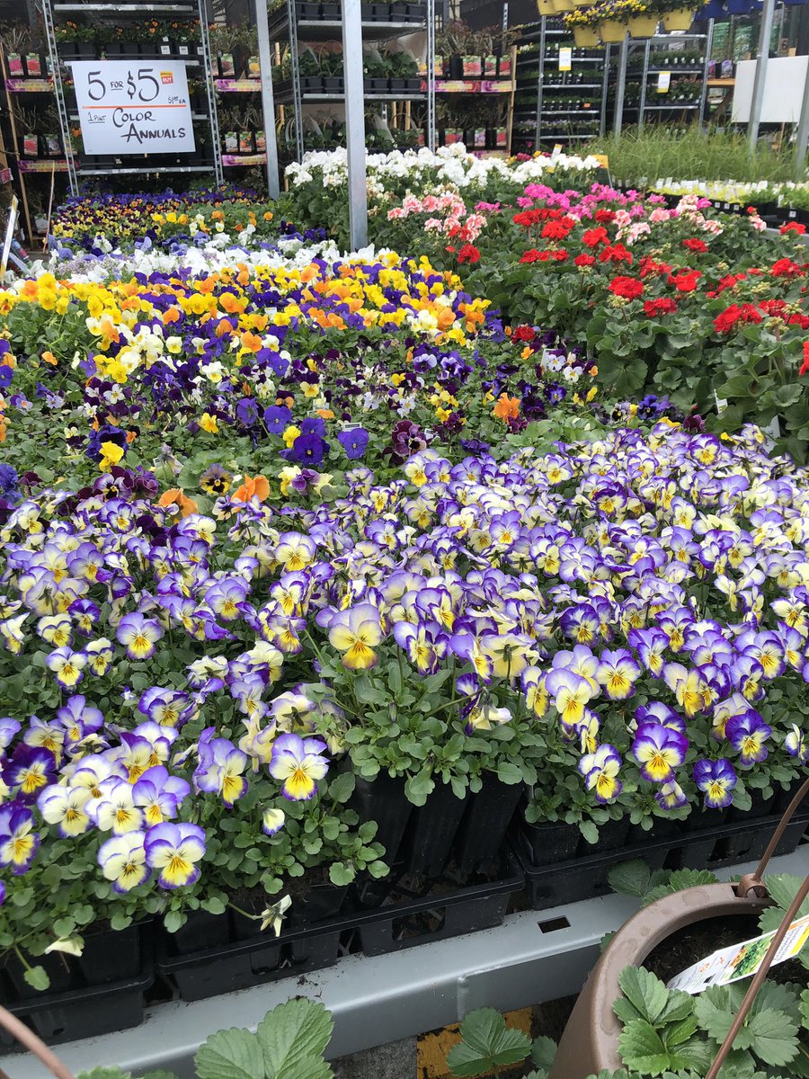 jennlarson12's tweet photo. Busy day at Hillsboro Home Depot!!! Spring Black Friday, Kids workshop, insane prices on flooring measures/installs, plus hot dogs on us!!! And how about this beautiful weather!!!😎☀️🌸🌺 @bdesigns03 @bamanda1214 @TalonHD4010 @KayK_Quinn @JoshuaCrocker3 @tiana_martines https://t.co/SAVlHK1nk7