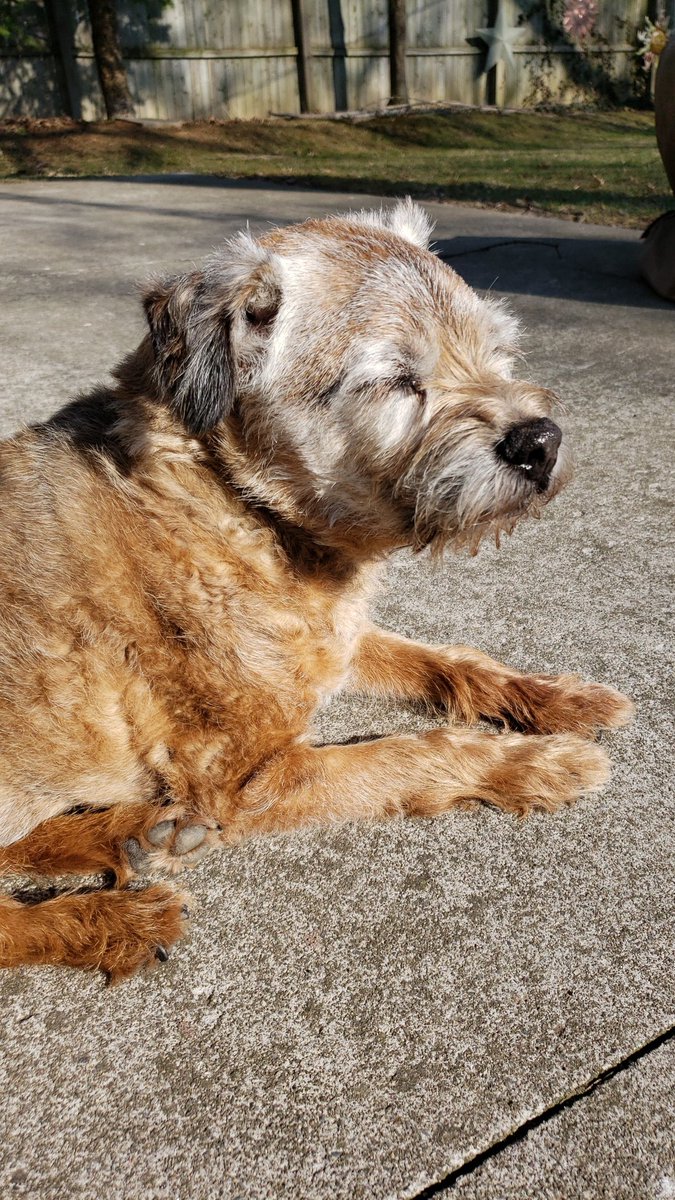 Sun
Bliss 
Backyard relaxin'