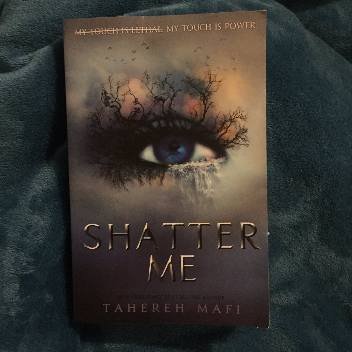 holly_17_author's tweet photo. Newest books for my reading collection, canβt wait to read Shatter Me. It looks and sounds so good. brought another Holly Web because I loved reading these as a child.
#author #writing #ilovetowrite #ilovewriting #ilovereading #hollyweb #birdmagic #taherehmafi #shatterme #series https://t.co/NnO5yE8o2l