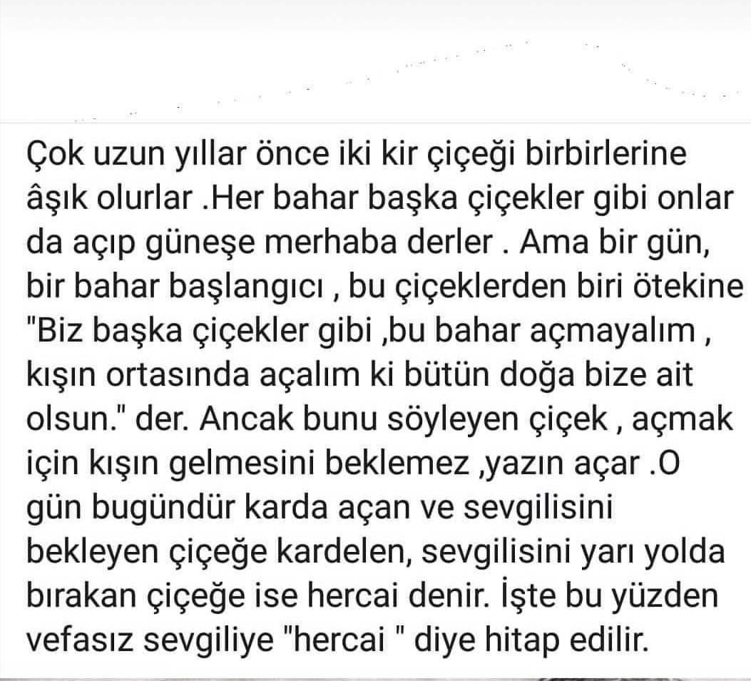 ❌~~______~~❌ (@mond__stern) on Twitter photo 