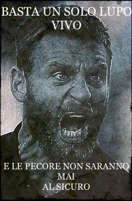 ken_kendavis's tweet photo. Daje #SampdoriaRoma https://t.co/rZHosnZItX