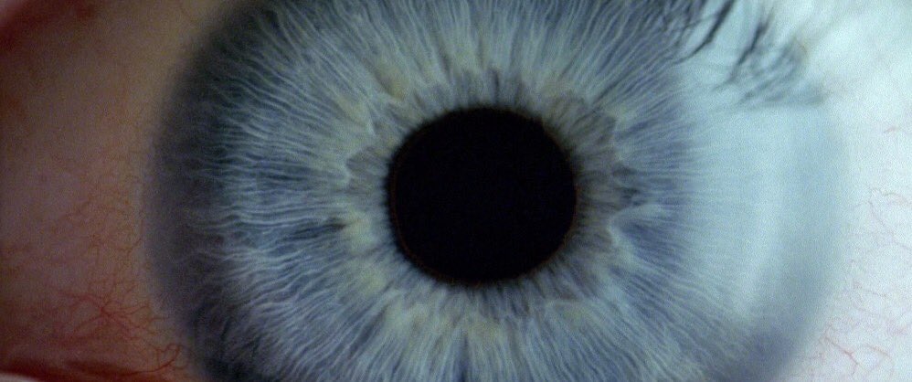 TheCinesthetic's tweet photo. Donnie Darko (2001) dir. Richard Kelly
https://t.co/6Cc4DtU4yJ