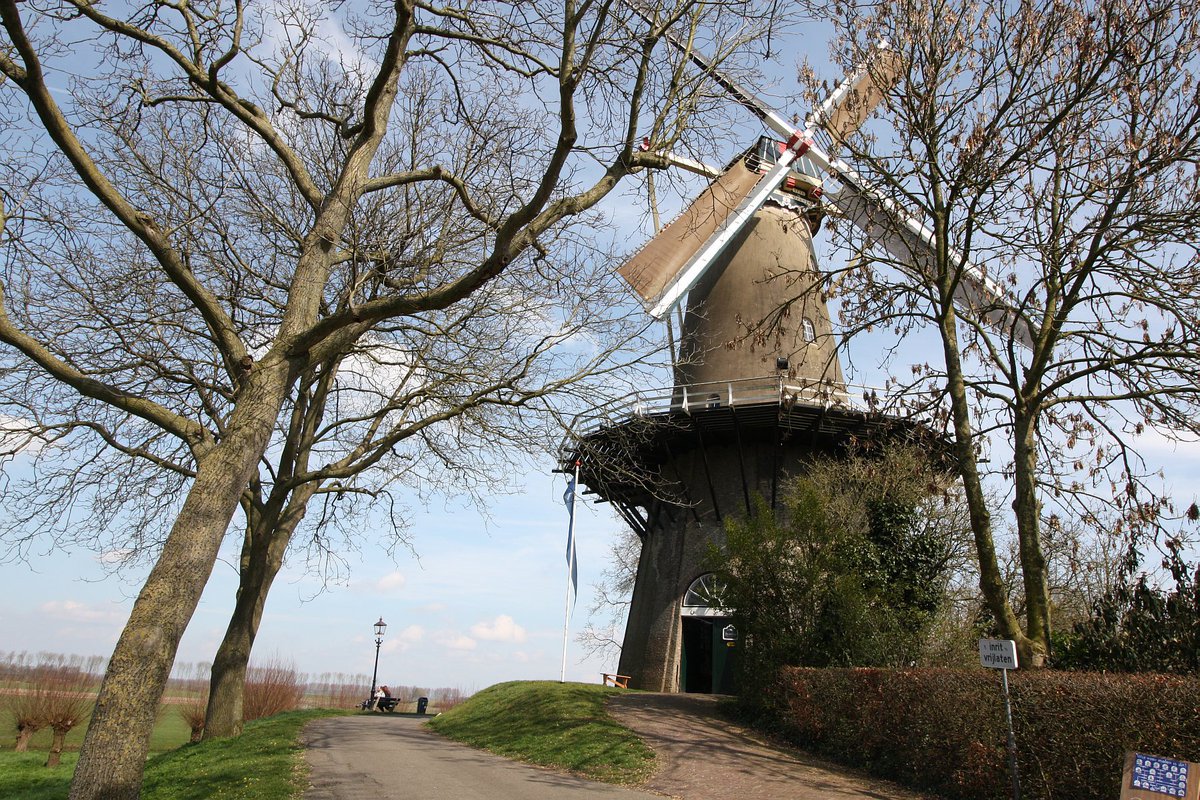 kunstrouteburen's tweet photo. Van 30 mei t/m 2 juni #exposeren Meau Verweij en Christien Loen met #installaties in #molen #Prins van #oranje in #Buren. #kunst #expositie #historisch #installatie @BurenStad #wandeling #rondleiding #bijzonder https://t.co/JB5gIUsX3t