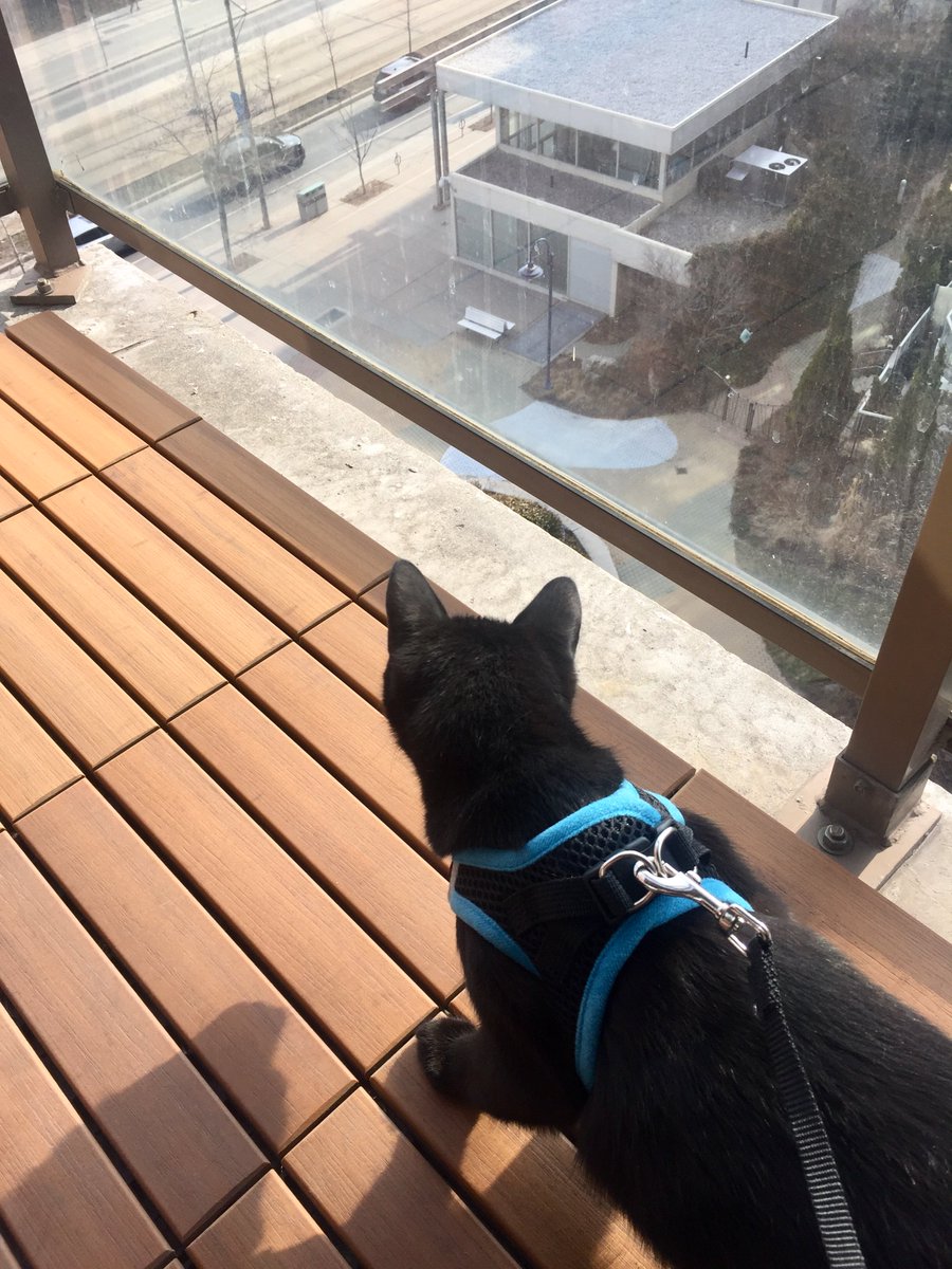 Mary Beth Hefferton tweet media