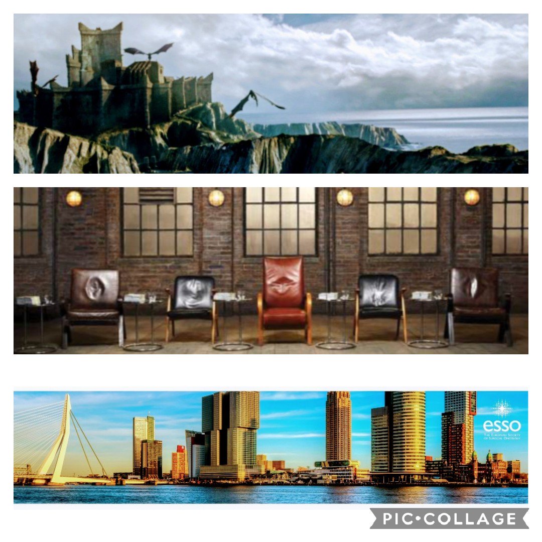 LauraLorenzonMD's tweet photo. #Dragonstone vs #Drangons'Den at #ESSO39 👇👇submit your study proposal and don't miss the chance to present your study in Rotterdam in front of a panel of experts for @ESSOnews endorsement! https://t.co/VPZgj51dyS