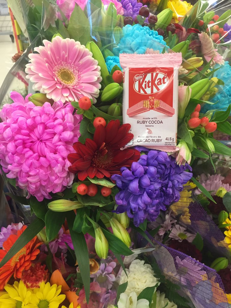 LSzewciw's tweet photo. #KitKatRuby finally in 🇨🇦! Will freeze one for @LTsurenko (or buy fresh in Aug if still available by Rogers Cup) 🍫🍓🌸 @KITKATca https://t.co/NjUsWKBnNP