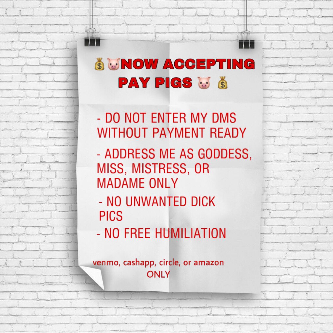 ATTN: I’m now accepting new #paypigs to #serve & #worship the ground I walk on.  #findom #goddess #findomme #efdp #finsub #paypig #tribute #sph #pindick #cbt @RTP1G @rtpid  @touchRTP @RTfaggot @OddDoctor @rtslave14500 @RTAlex_1 @find0m @rtalldommes @rt4goddess @rtfindom