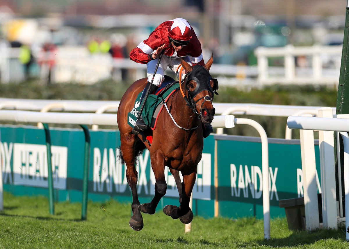 WillHillRacing's tweet photo. Tap ❤ If you backed this #legend 

#TigerRoll
#NationalReady
#GrandNational2019
#Aintree https://t.co/IRVikqKvrC