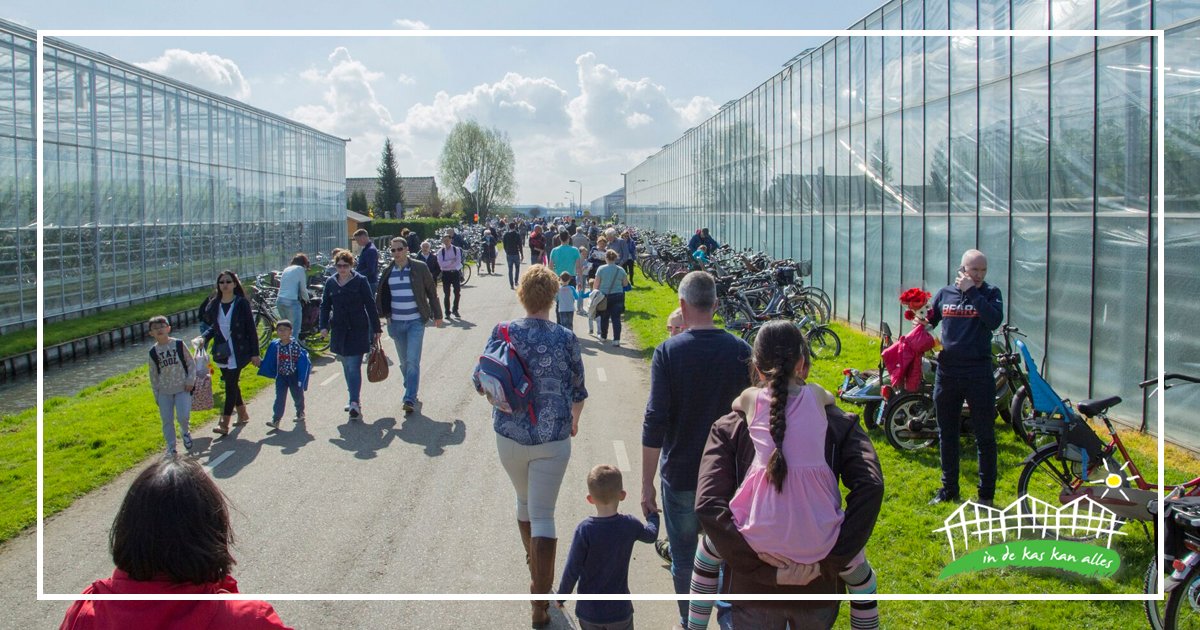 kom_in_de_kas's tweet photo. Vandaag niet naar Kom in de Kas geweest? Dan heb je morgen nog de kans om kassen te bezoeken💚 De openingstijden kunnen per deelnemend bedrijf verschillen. Kijk dus altijd op de website of de kas die jij van plan bent om te bezoeken open is: https://t.co/SAgYf11blS https://t.co/xGfsFrN9SL