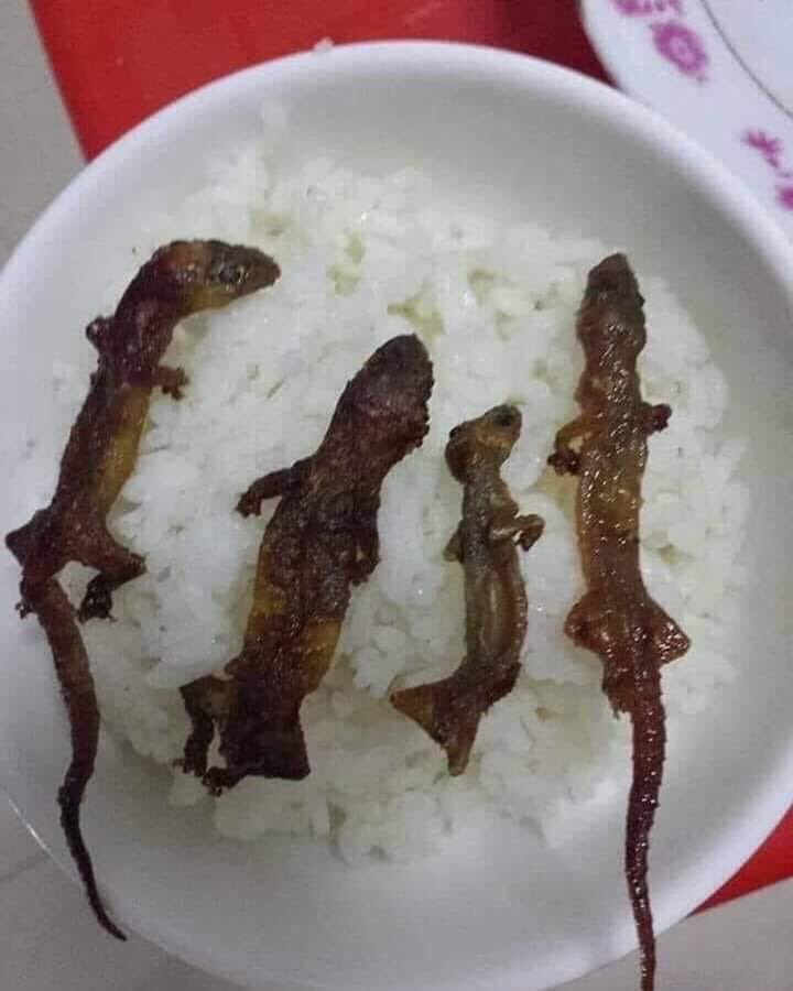 muriloftp's tweet photo. bó muçaaA , amocinho delisia kkjjj #rangoo #cagado #de #fomee https://t.co/iWybe8ysrg