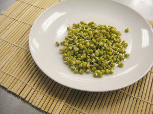 IshaUSA's tweet photo. Sprouts!
A simple way to include #rawfood plus micronutrients, vitamins, calcium, iron and magnesium!
#HowToSprout – https://t.co/24FEc4MxGC
#WorldHealthDay #GoRawChallenge #VegetarianRecipe #VeganRecipe #TasteOfIsha #IshaRecipe #Food #Sleep #WhatToEat #SaturdayMotivation https://t.co/xawIBBnEPA