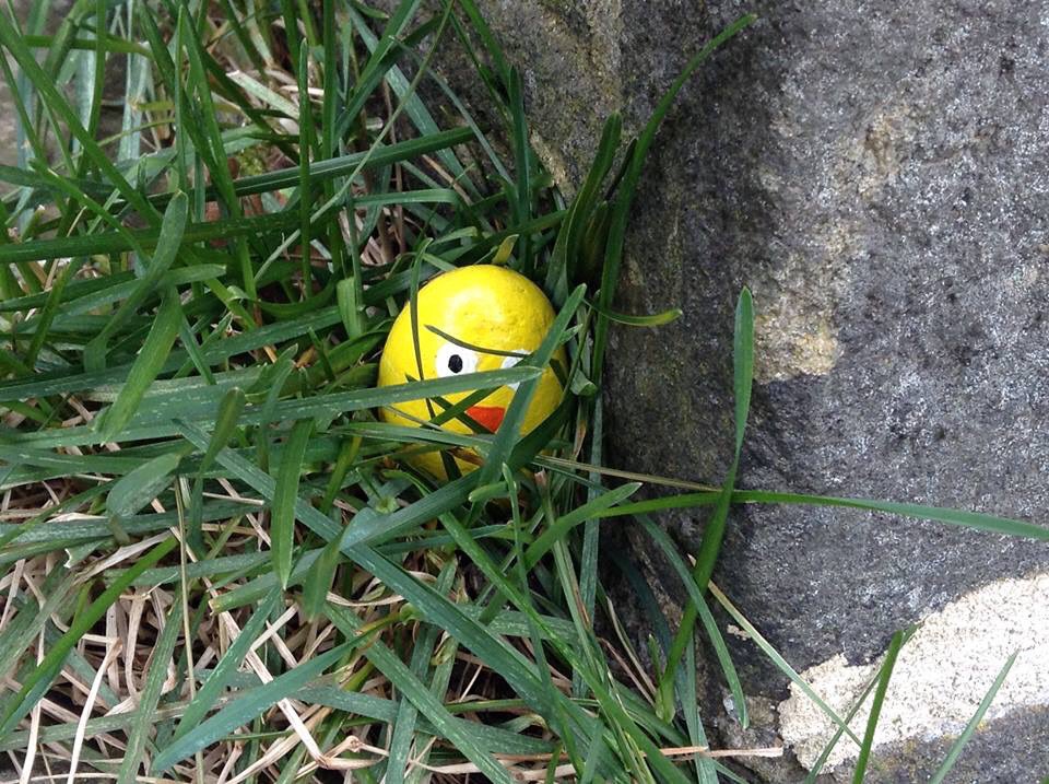 Haworth Primary tweet media