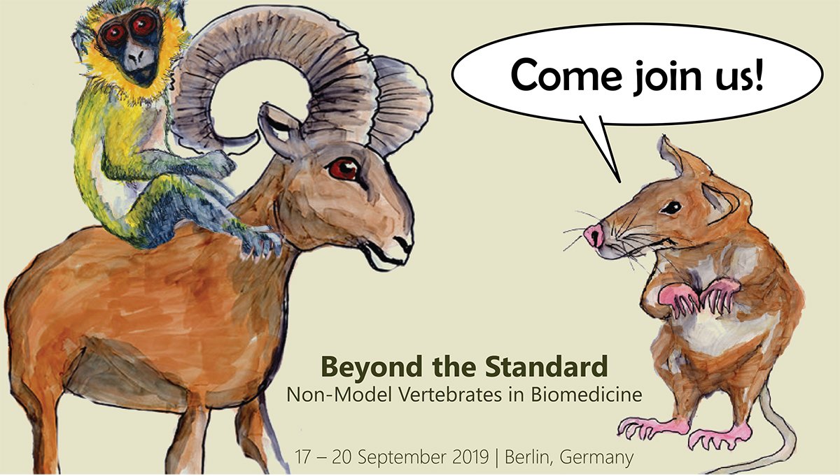 AxelVisel's tweet photo. Apply now: EMBO workshop "Beyond the Standard: Non-model vertebrates in biomedicine".  I will still talk about mice, though.  https://t.co/G7f1wIKZgt @nonstandard2019  #beyondthestandard2019 https://t.co/HNFEYzCzCt