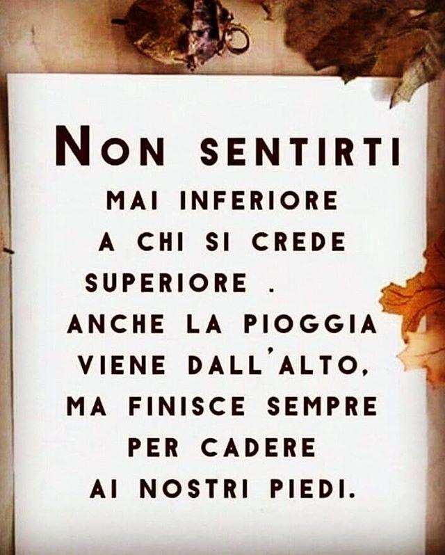 ꀸꀎꀸꂦ38 Inferiori A Nessuno Dudo38 Aforismi Pensieri Frase Resilienza Aforismario Vita Frasedelgiorno Spensieratezza Saggezza Perledisaggezza Emozione Amare Ridiamocisu Abbracci Senzapensieri Parole