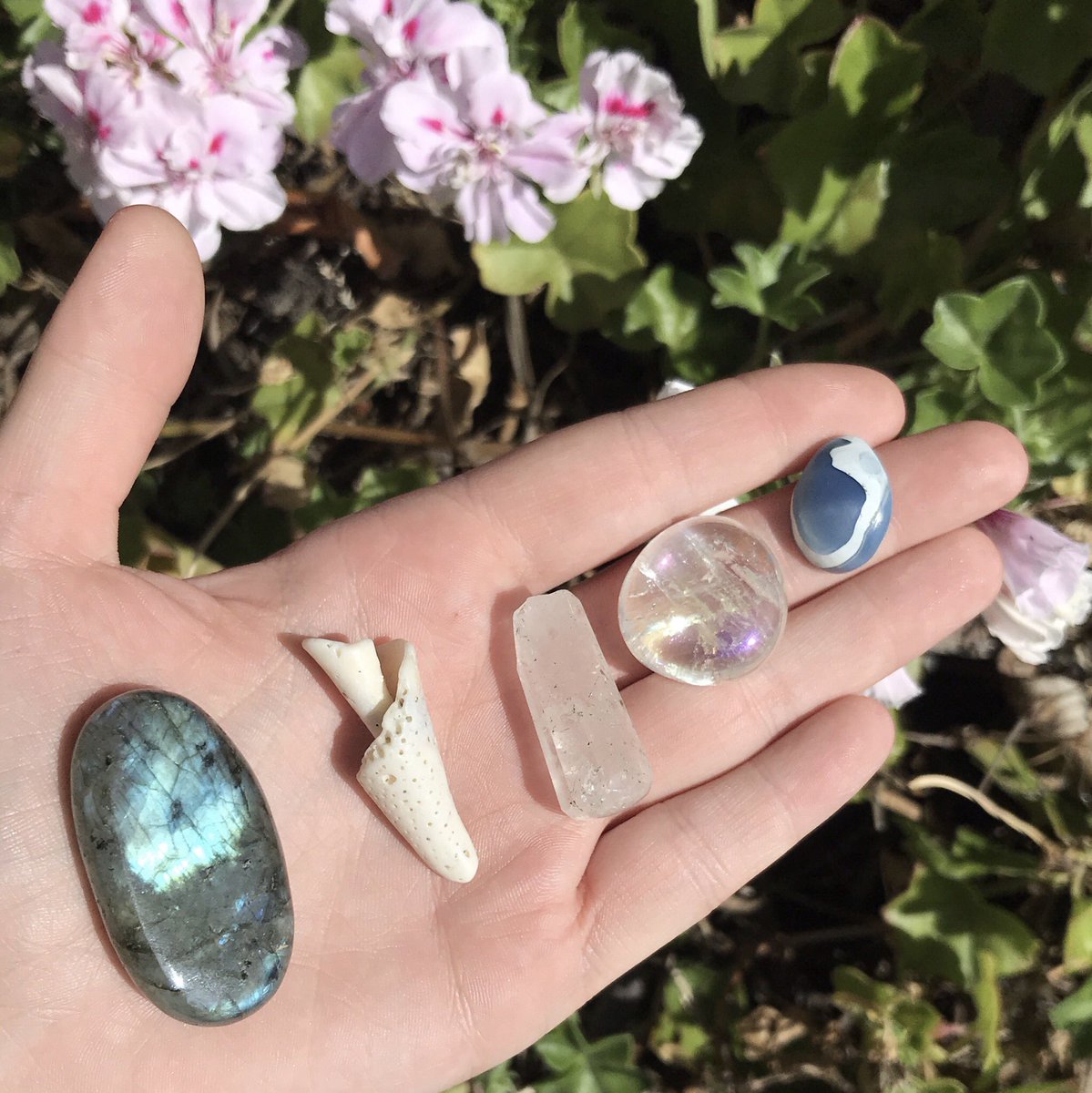 elfdaddyy's tweet photo. 🌸 Spring giveaway 🌸 
1 winner receives everything in these photos, details below.

Retweet this tweet and follow me to enter! Tag friends or follow my ig (@ kar.en) to be entered twice. 
This will end on April 13th, 1 week from today🍃 https://t.co/33Si5BXElm