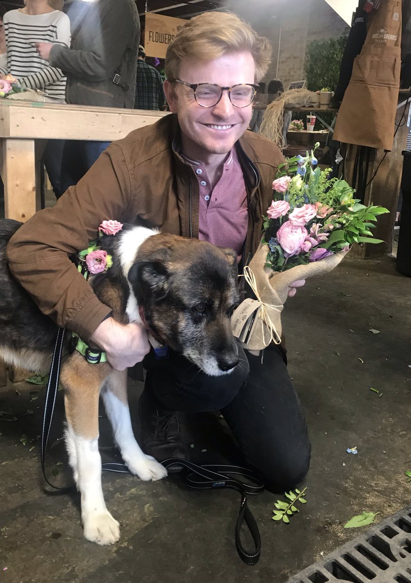 Thanks for supporting CRISP this month, <a href="/flowers4dreams/">Flowers for Dreams</a>! Adoptable Harry loved the workshop 💐 🌷🌿