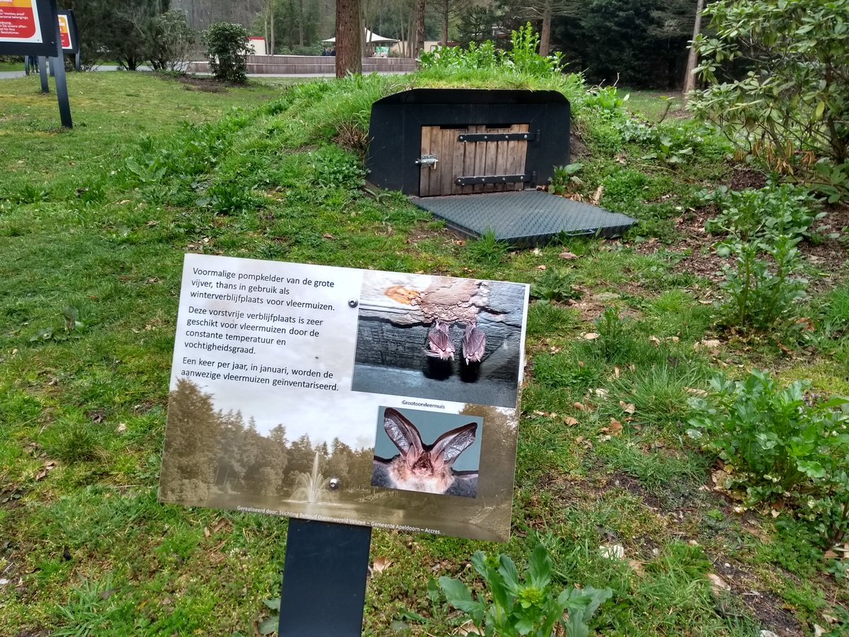 Ook op een dagje uit met de Personeelsvereniging kan een vleermuiskelder niet zomaar voorbijgelopen worden 😉  #bevlogenecologen <a href="/tauwecologie/">De ecologen van TAUW</a> <a href="/gem_apeldoorn/">Gemeente Apeldoorn</a>