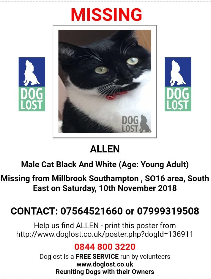 MissingPetsGB's tweet photo. 🐱 ALLEN #cat didn't come home on 10 Nov &amp; is still #missing
He means the world to his family
 #Lost Millbrook #Southampton #SO16
Please contact if any sign of him.
@bickleback @nellbick
#Caturday https://t.co/iauGTu6VK6