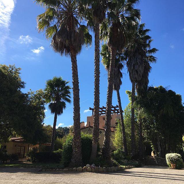 inspiredandaway's tweet photo. Oh hi, from Ojai 😃 .
.
.
#inspiredandaway #californiaroadtrip #ojai #blueiguanainn https://t.co/5NqDRqzgaj https://t.co/WiABsbRoXS