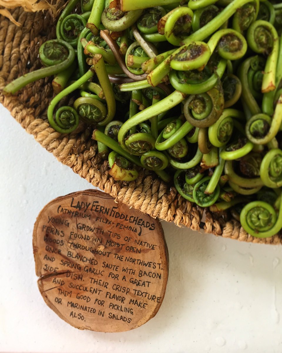 SeattleFarmMkts's tweet photo. Fiddleheads are our favorite time of year. (Though check back with us when berries are around). Add some of these pretty little curlicues to tonight’s dinner! 

#foragedandfound #fiddleheads #spring #universitydistrictfarmersmarket #green #locallyforged #freshfood #shoplocal https://t.co/RrEPMewN50