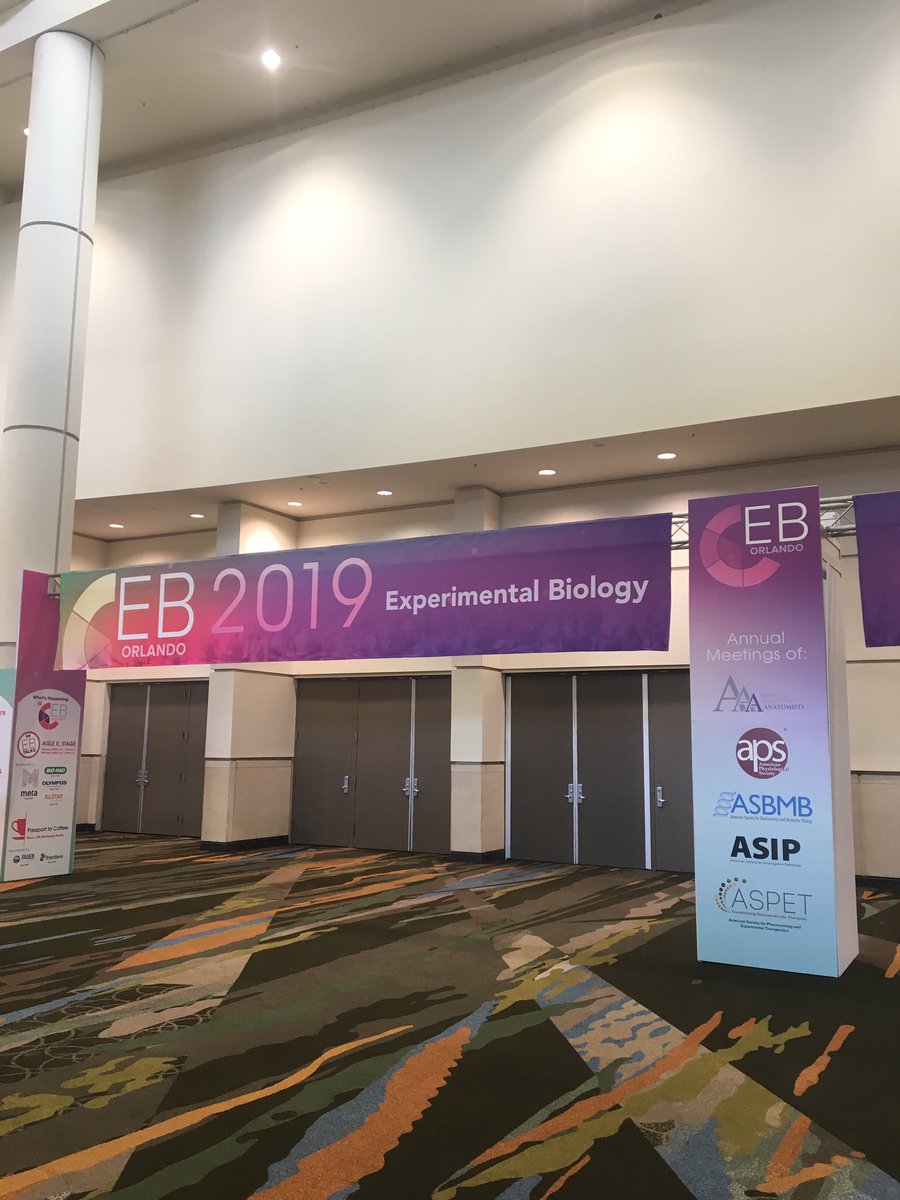 Emilanocyte's tweet photo. Learning all about morphology, cell migration and stem cells today at #ExpBio2019. https://t.co/L1SCKHUmb2