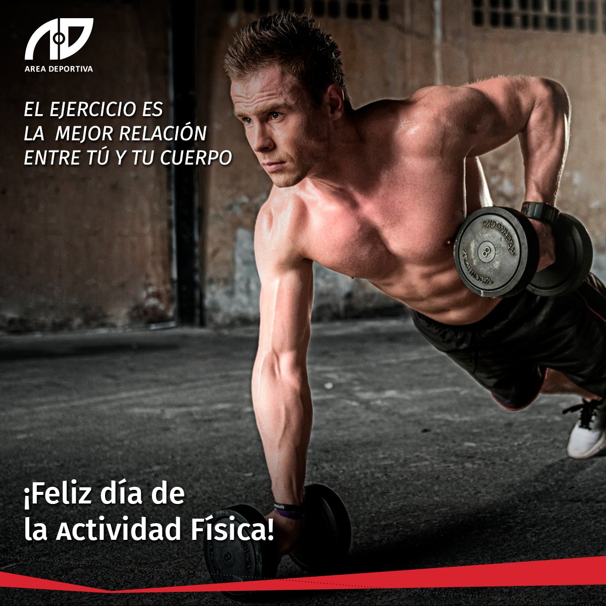 AreaDeportivaPy's tweet photo. Estar en constante movimiento hace bien🏃‍♂️, la mejor relación entre tu cuerpo y vos es el ejercicio. 💪
¡Feliz día Mundial de la Actividad Física! 👏 https://t.co/lscLq0sAGX