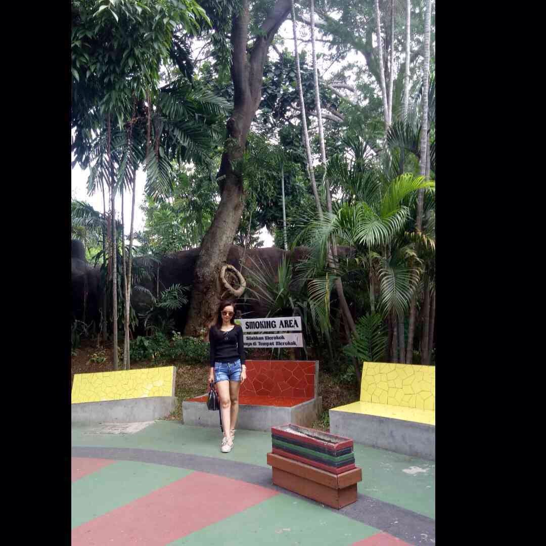 immodifer's tweet photo. Wow, Amazing! vivi wikwik is broadcasting on https://t.co/VTH9aeklAF ,come to join! https://t.co/GMbJGX6TT1 https://t.co/zobp4vFxVx