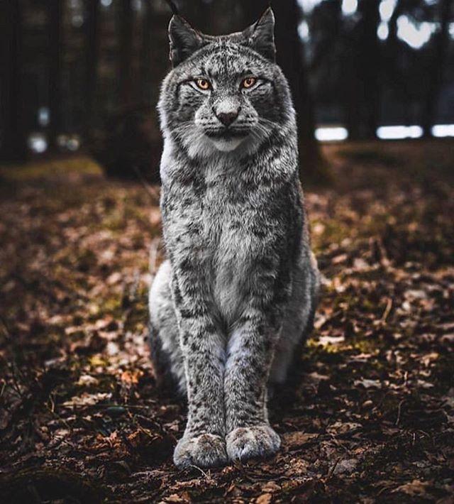 Tap if you are glad winter is over