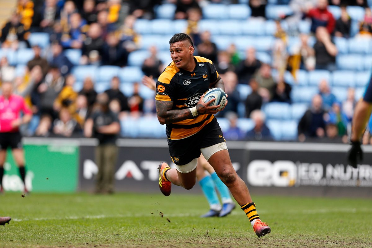 Wasps Rugby tweet media