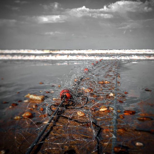 SortirdansMedoc's tweet photo. La #TeamMedoc vous offre cet instantané sur la #plage de #Montalivet - 📷 : @titifred33
// #Spring #Printemps #Beach #Sea #Ocean #Filet #Peche #Fish #Net #Vagues #Waves #blackandwhite #bnw #Landscape #Landscapelovers #Naturelovers #Paysage #Medoc #Gir… https://t.co/Tjtaud3XFj https://t.co/LNpneWnB2q