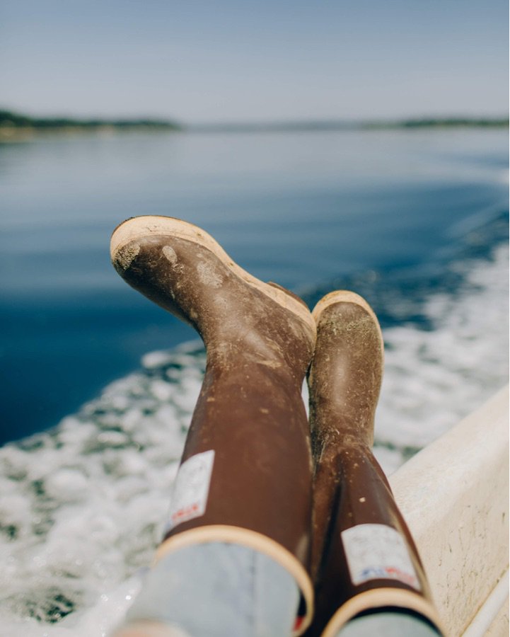 chelseagems's tweet photo. Wishing for more sunny days in Olympia! New spring menu and cocktails coming very soon! ☀️🐚🌊 @chelseafarms
•
#chelseagems #tidetumbled #shellfishfarm #oysters #olympiawa #chelseafarms https://t.co/OscqCngcuO