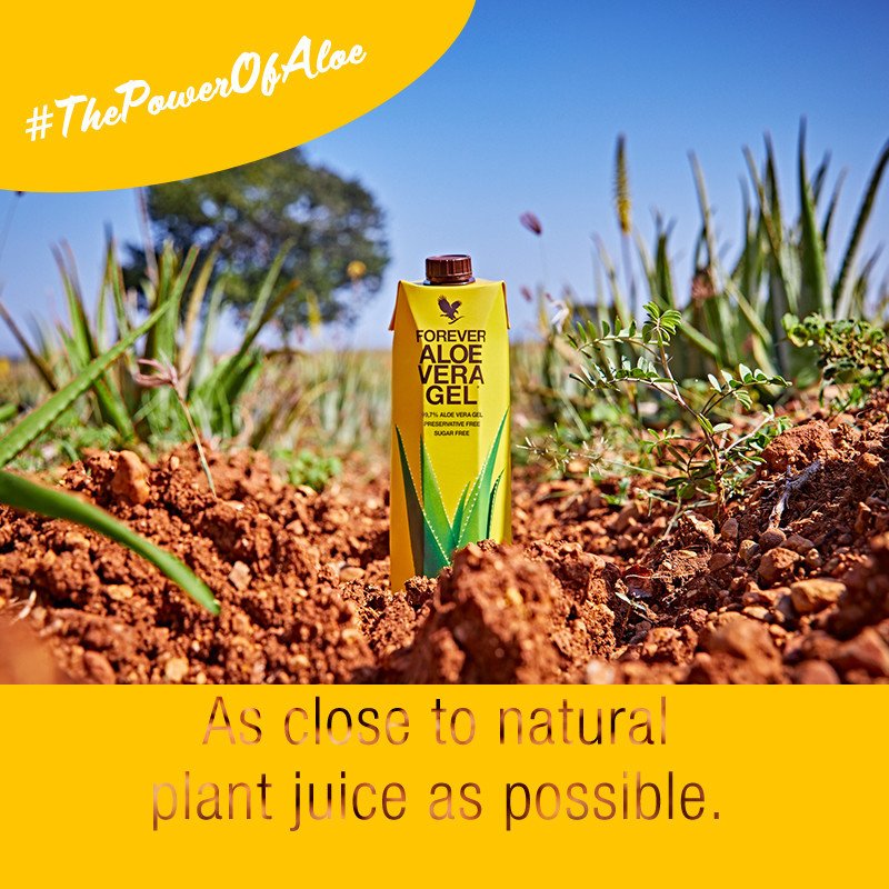 No added preservatives, sugar free and made with natural, organically grown Aloe Vera, how amazing is that? What’s your very favourite part of Forever’s Aloe Vera Gel? 🌱 😁 #ThePowerOfAloe