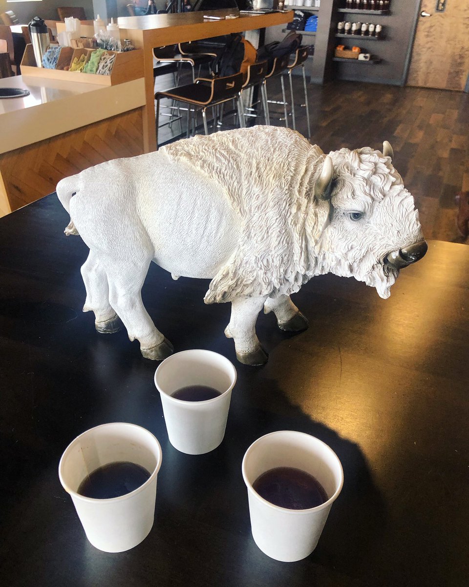 It's finally feeling like spring so you know what that means––give us all the <a href="/WhiteBisonTN/">White Bison Coffee</a> cold brew!