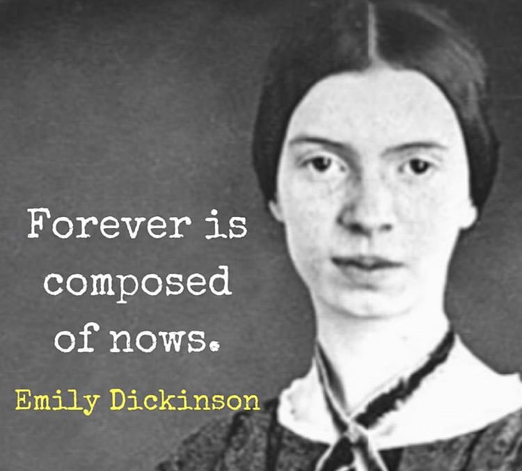 Great Quotes (@seek_truths) on Twitter photo 