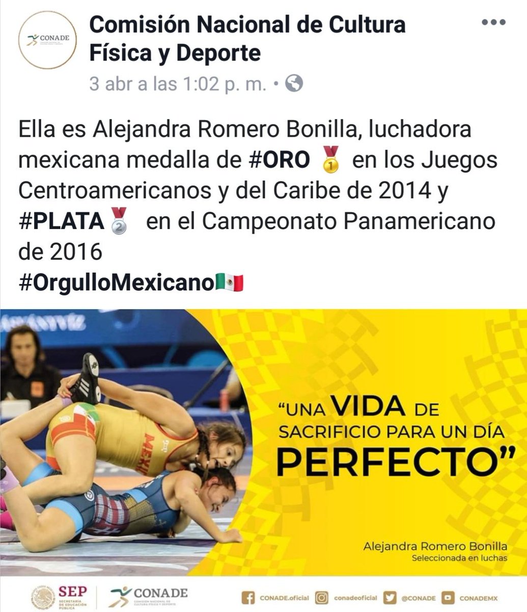 Mexwrestling01's tweet photo. En los medios @alebonilla73

#wrestler #fighter #girl #strong #wrestlelikeagirl  #fit #warrior #motivacion #goals #sportgoals #nohaylugarcomoelhogar
#mexicowrestling #mexwrestling https://t.co/kbzEgN145c