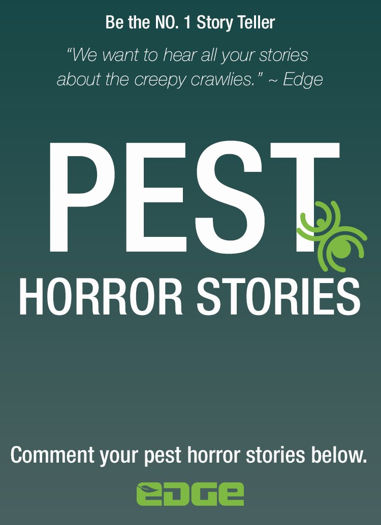 EdgeD2D's tweet image. Share your pest horror stories with us! Comment below and let us know about the worst run in you've ever had with spiders, bees, ants, rodents, or any other pest. Are you going to be the number 1 story teller? #Edge #pestcontrol #horror #story #share #NPMM
