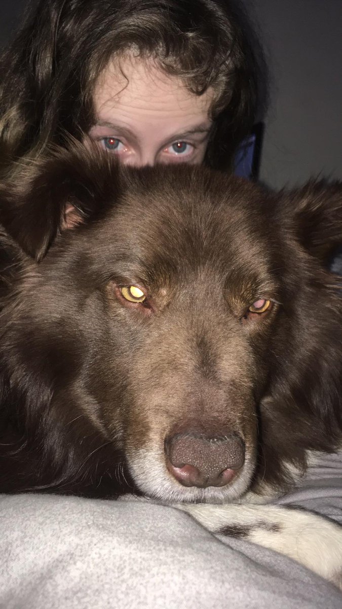 Me and tired doggo~

Off too party soon~