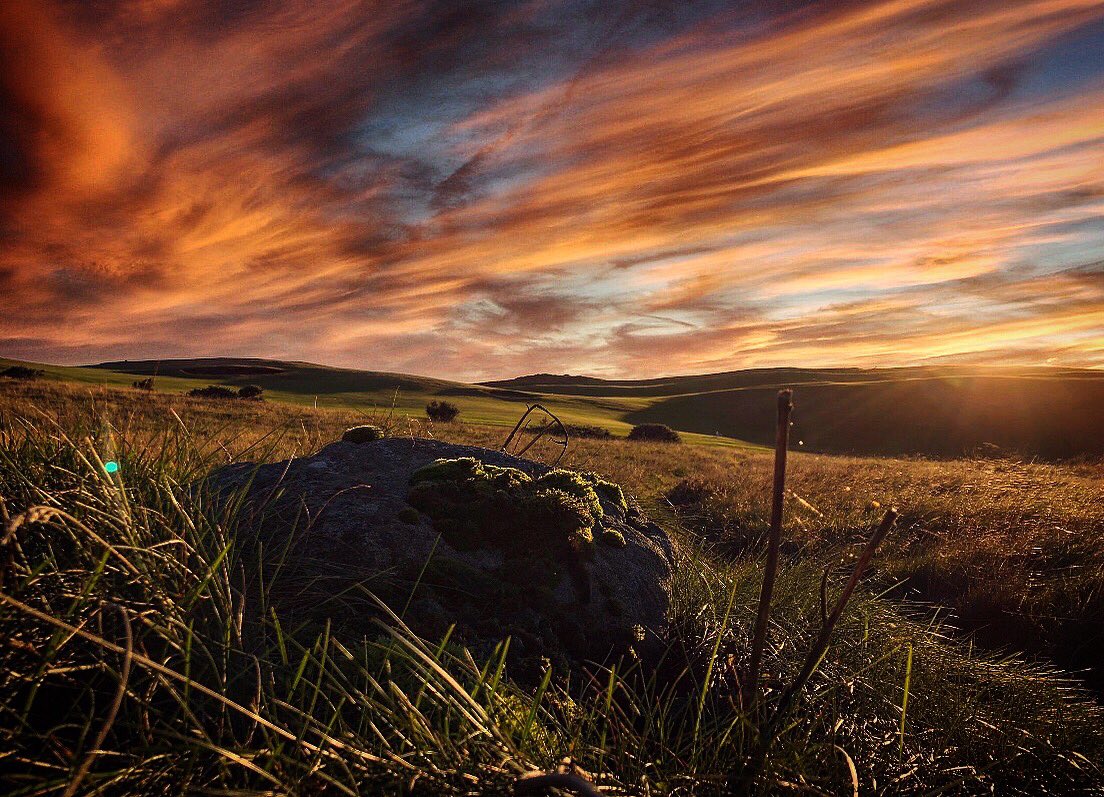 studio1aberdeen's tweet photo. .... looking, capturing Nigg Bay golf course in Aberdeen. Enjoying the moment..... #instagram #studio1aberdeen https://t.co/P3YIP1u0W1