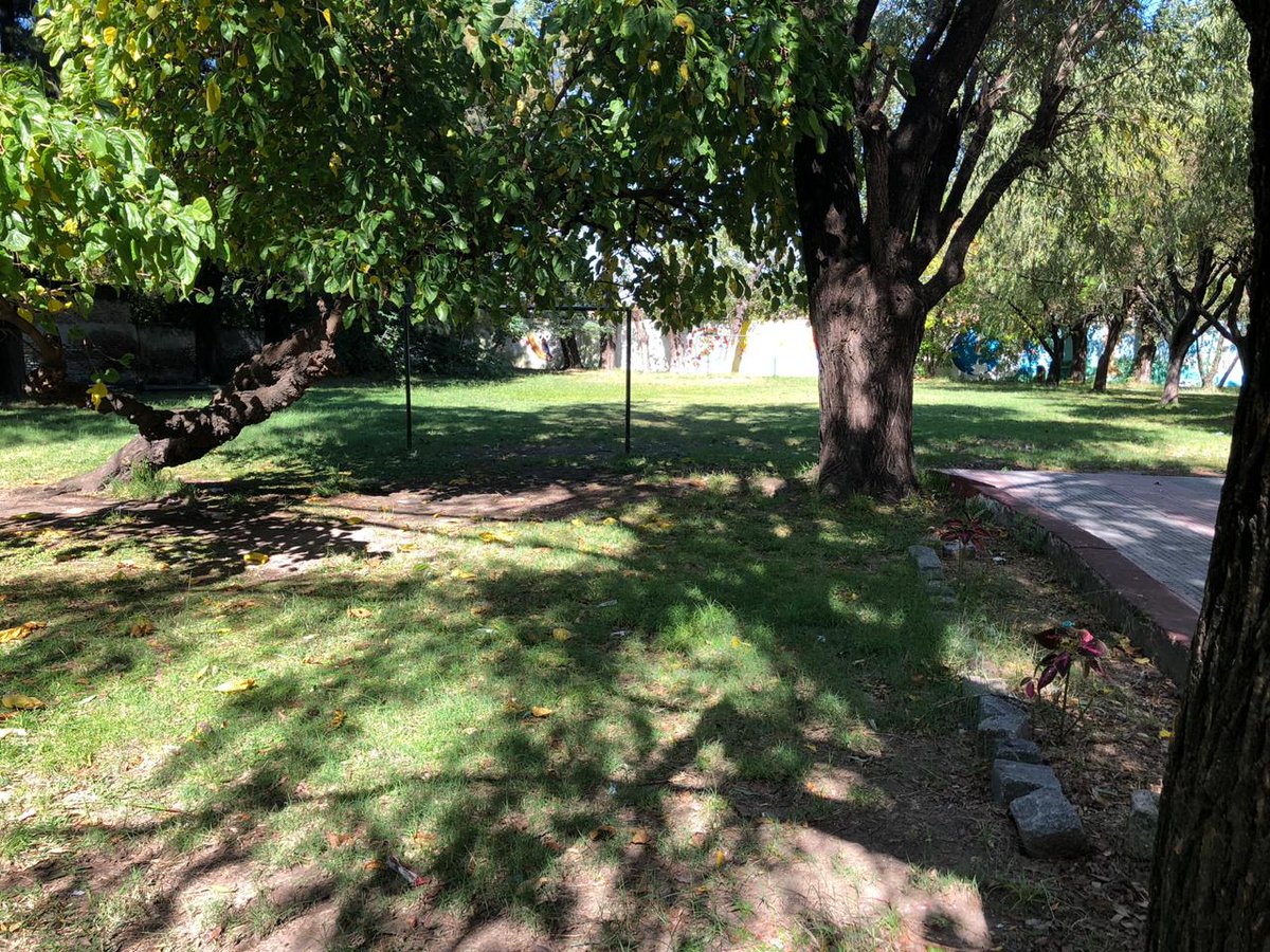 ConsejoLanus's tweet photo. Corte de cesped 
- EES 9
- Jardin maternal N°2 Polo Educativo https://t.co/fmhiuhxQgy