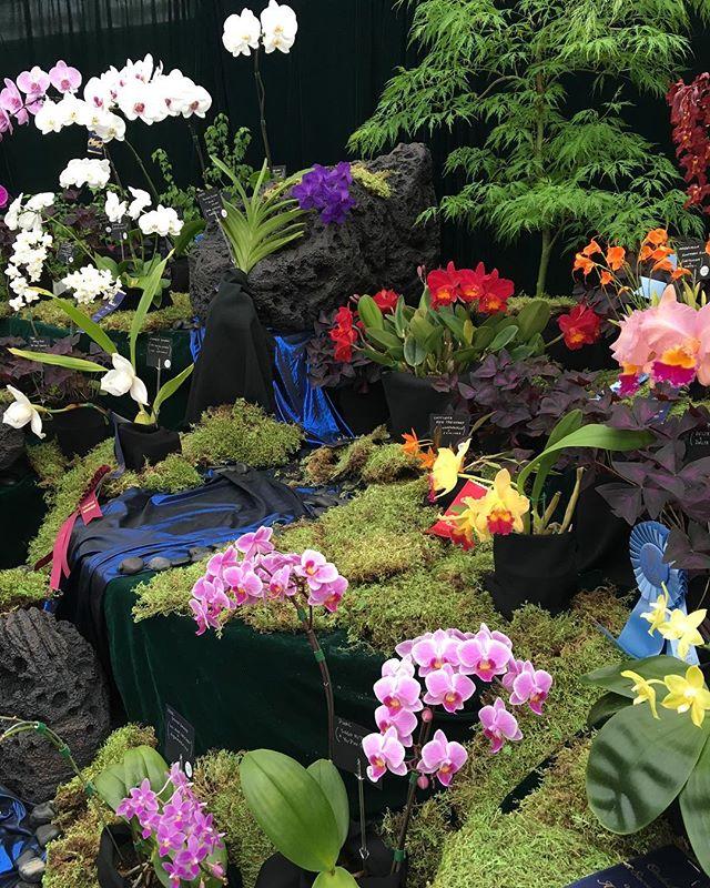 It’s Orchid Fair in the Enjoy Centre so we won’t be serving regular brunch menu on Sunday. All weekend our menu will consist of more grab-n-go sandwiches, salads, pastries, corndogs, soups, fries, etc. bit.ly/2FU8zHz