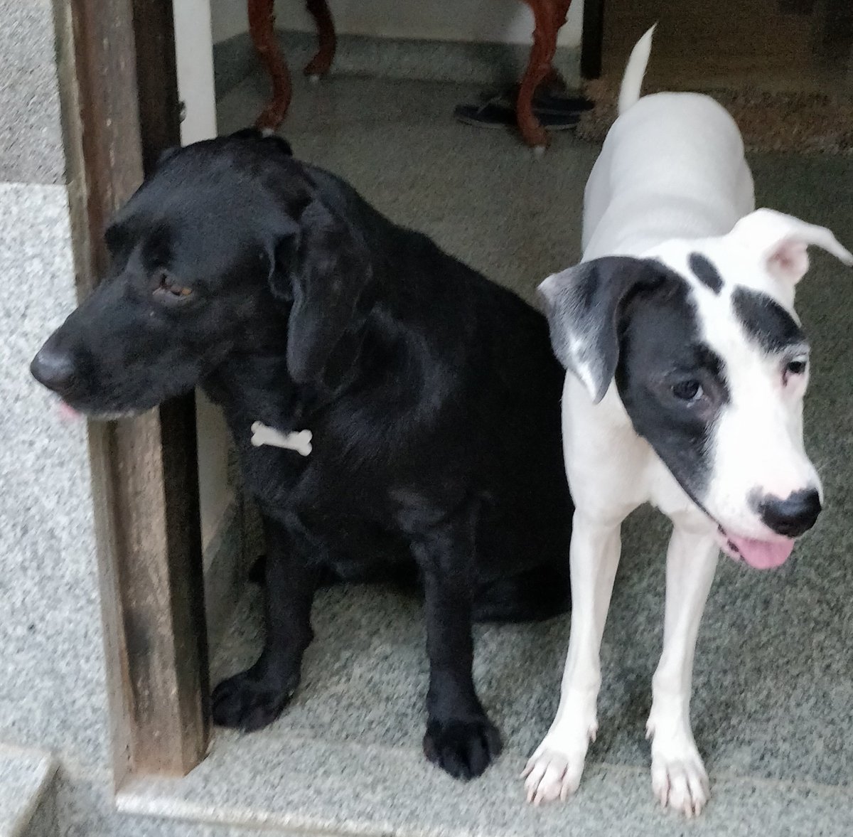 whenwherenilly's tweet image. so... mumma n dad went out early this evening. really hurt to say 'bye. @tripurasundaree i wish we could be with them all thu time everywhere