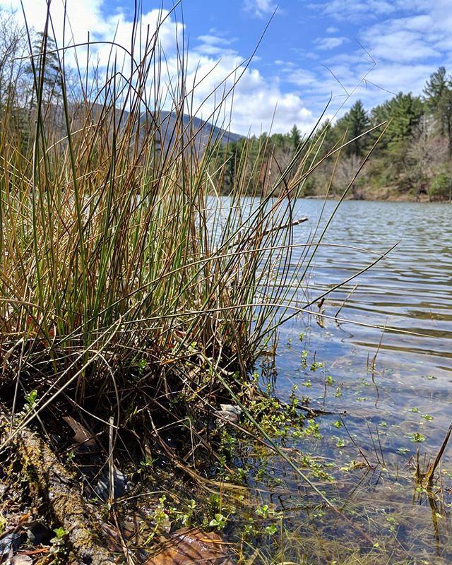 The beauty just off the trails at Carvins Cove is stunning. So grateful to have such a wonderful place to ride so close to home.
#trailsetter #sharewhatyoulove #visitvbr <a href="/visitvbr/">Virginia'sBlueRidge</a> <a href="/get2knownoke/">Get2KnowNoke</a> #get2knownoke #carvinscove #mtbikelove #mountainbiking #blue… bit.ly/2D06l90