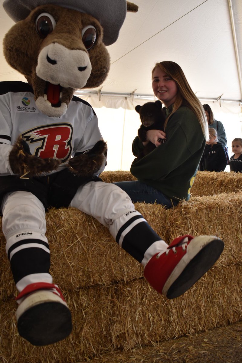 NuggetTheMascot's tweet image. To say this morning was busy is probably understating it. Cub Fest at Bear Country and Polar Plunge at @HarleyBHZ 
#PolarPlunge #CubFest #LoveTheBlackHills #ECHL