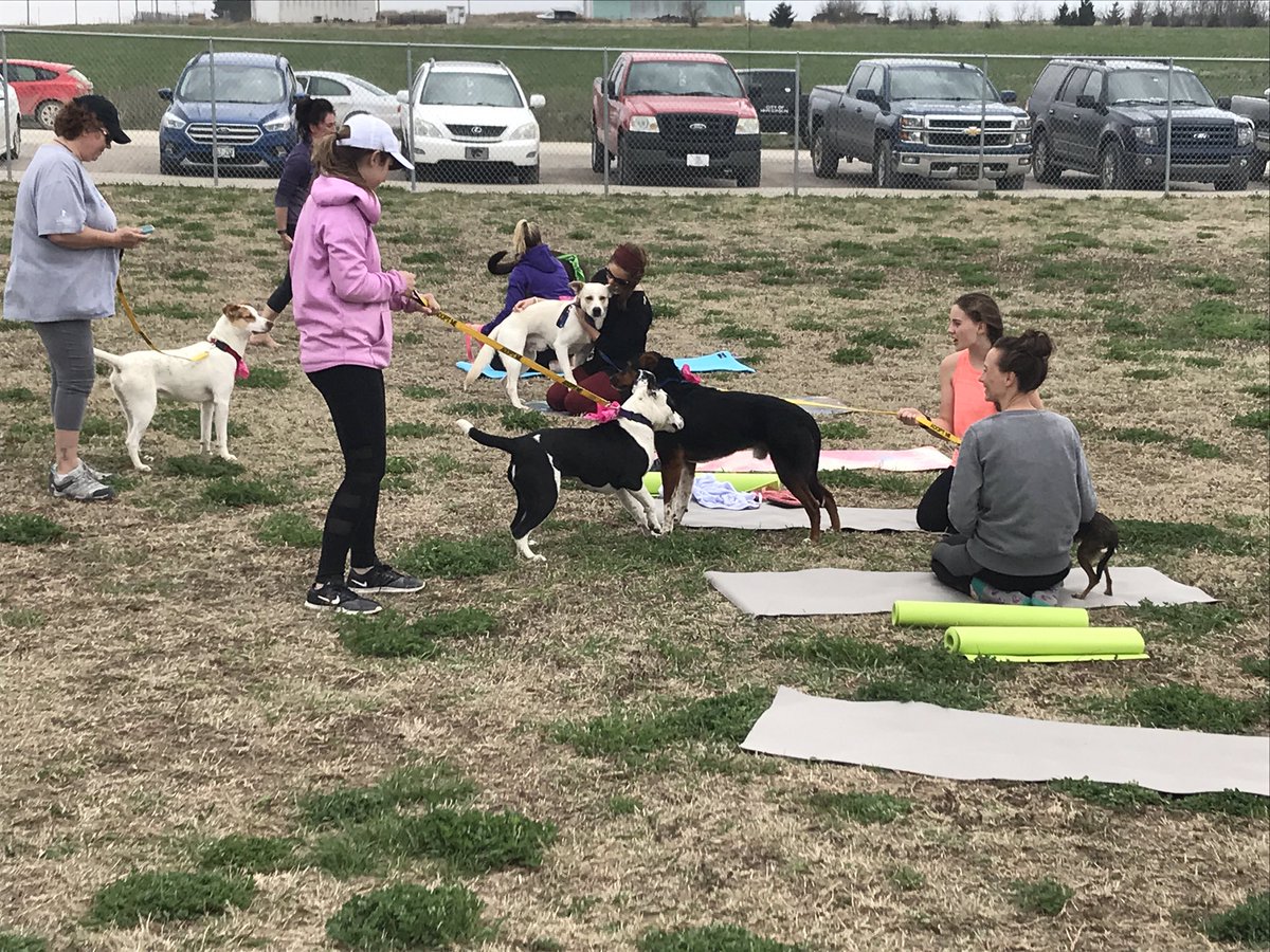 InmanSchools's tweet image. Super fun at the @InmanFFA ‘Yoga for a Cause’ event today at the McPherson Dog Park. Yoga and connecting adoptable dogs with their new families makes for a successful Saturday. Great job, Inman FFA students and partners! #drivestudentsuccess #maximizingresources